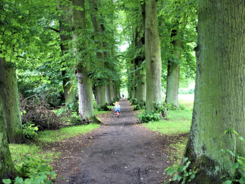 Hirschpark Hamburg