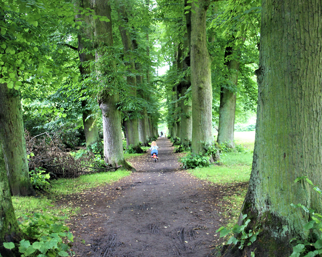 Hirschpark Hamburg