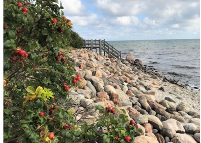 Ostsee mit Kindern