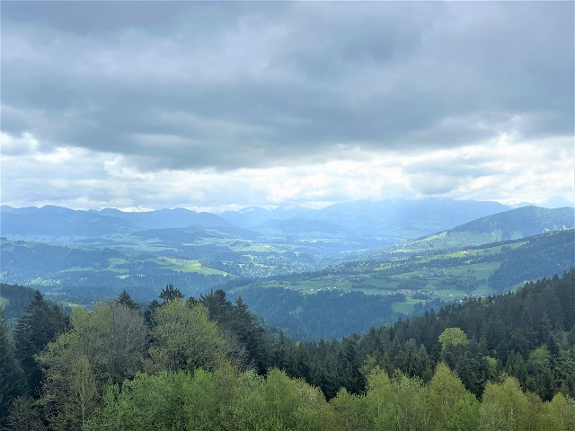 Pfänderspitze Aussicht