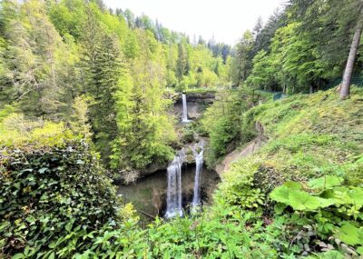Scheidegg im Allgäu mit Kindern