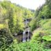 Scheidegg im Allgäu mit Kindern