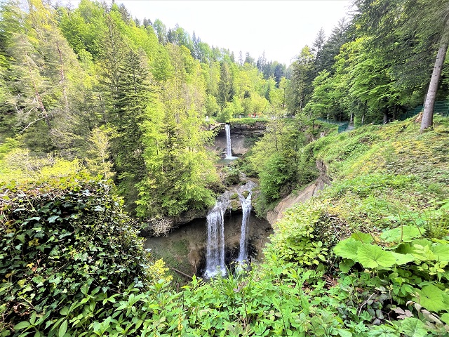 Scheidegg im Allgäu mit Kindern