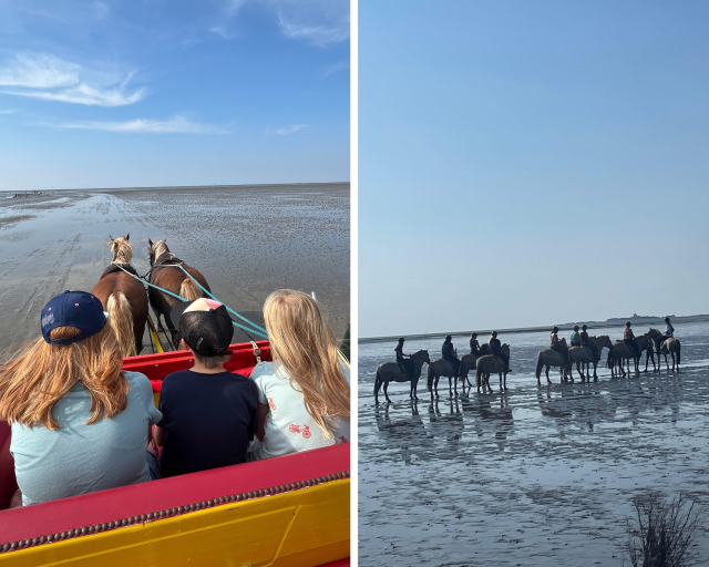 Neuwerk mit Kindern - Wattwagen