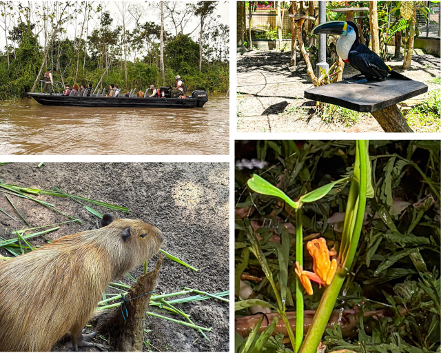 Amazonas Kreuzfahrt Peru Wildlife