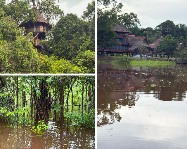 Amazonas Kreuzfahrt in Peru