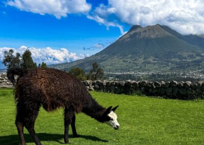 Ecuador Rundreise mit Galapagosinseln