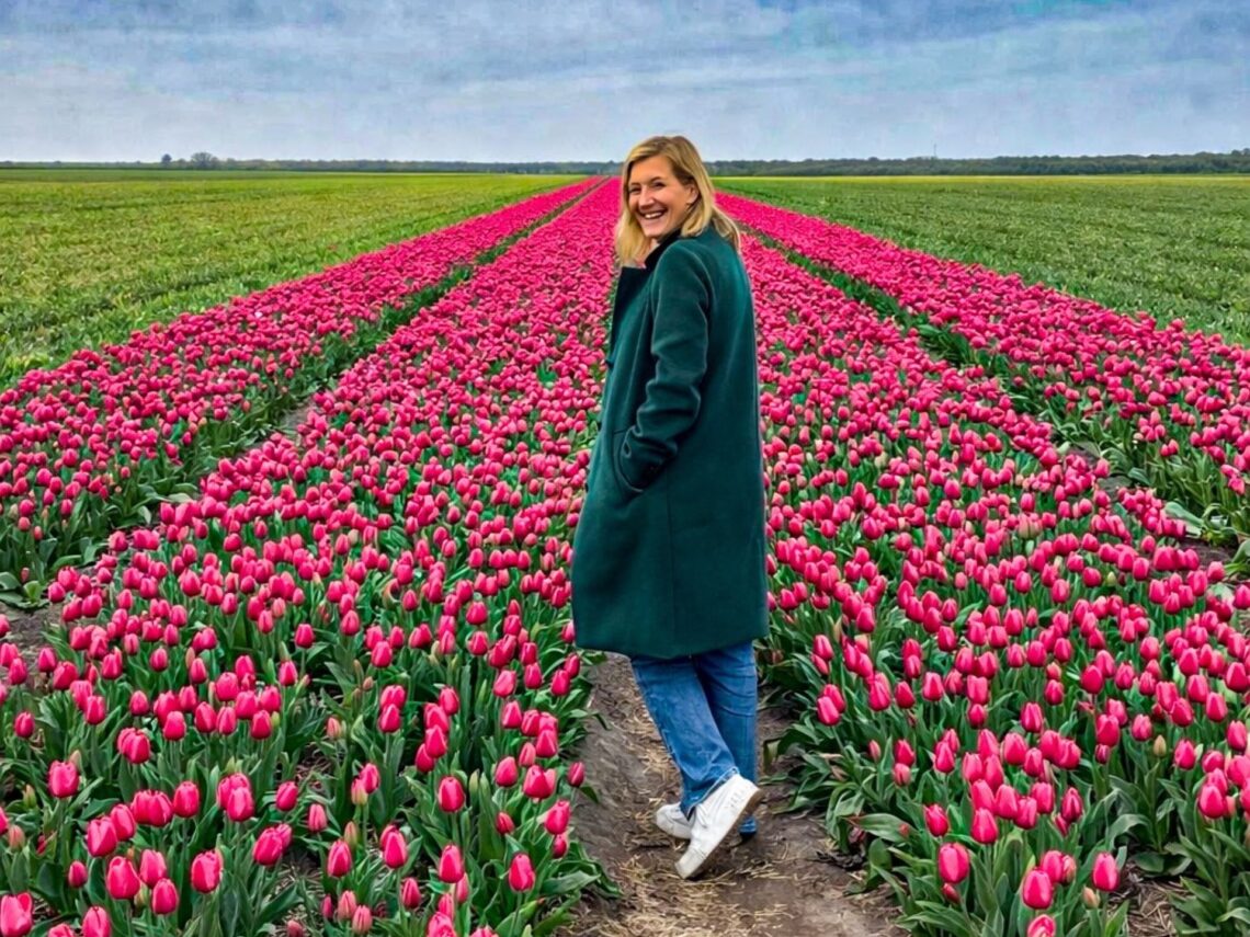 Tulpenblüte Niederlande