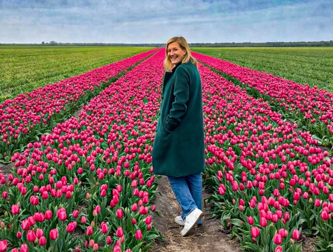 Tulpenblüte Niederlande